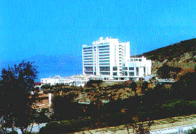 koru02.jpg